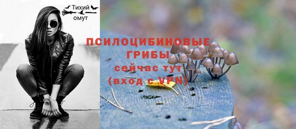 метадон Заволжск