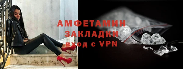 прущие грибы Абаза