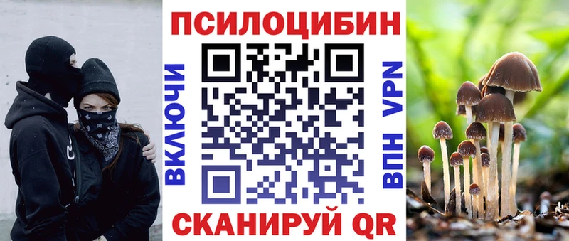 сайты даркнета какой сайт  цены   Краснозаводск  Галлюциногенные грибы Cubensis 